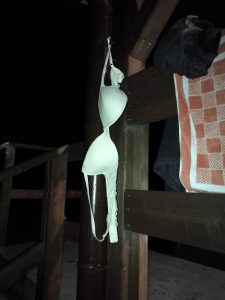 mde